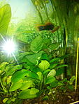 IMG 20161203 211727