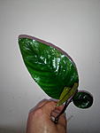 IMG 20160618 155142