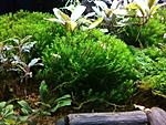 IMG 20161212 180536