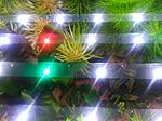 IMG 20161212 183501