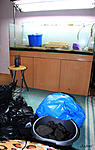 IMG 7637