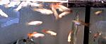 IMG 20161126 143239