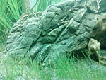 IMG 20161127 065155