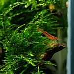 IMG 5684 Edit