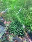 IMG 20161212 183751
