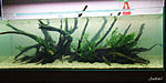 IMG 7659