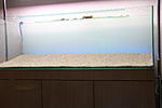 IMG 7654