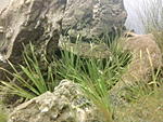 IMG 20161127 064917