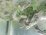 IMG 20161126 181526