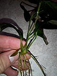 IMG 20161214 154034