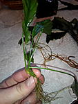IMG 20161214 154203