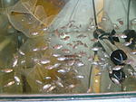 PICT2303