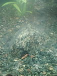 IMG 20161127 165128