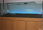 IMG 7653