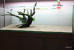 IMG 7656