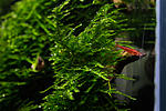 IMG 5685 Edit