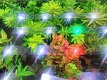 IMG 20161212 183942
