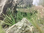 IMG 20161127 064902