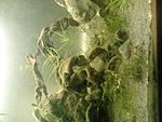 IMG 20161126 175414