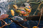 IMG 5620