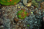 MIX 09