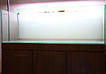 IMG 7644