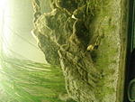 IMG 20161126 175410