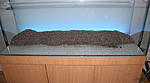 IMG 7650