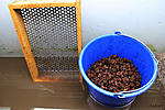 IMG 7642