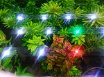IMG 20161212 183448