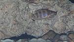 IMG 20161130 090333 440