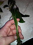 IMG 20161214 154049