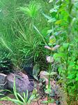 IMG 20161212 184051
