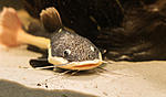 IMG 5658