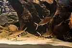 IMG 5630