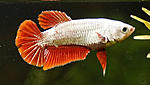 DSC01760