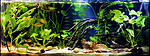 biotope aqua 18 10 2016 5