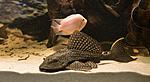 IMG 5624