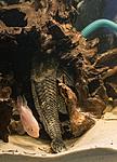 IMG 5625