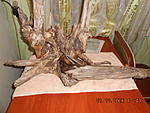 DSCN1382