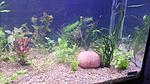IMG 20161216 132457