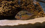 IMG 5613