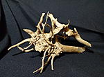 20161031 145830