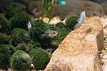 IMG 5667