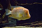 20161204 IMG 1493