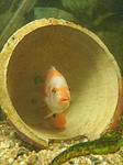 IMG 20161207 224509