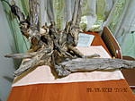 DSCN1381