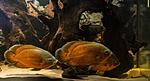 IMG 5628