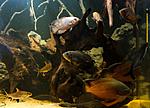IMG 5629