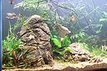 IMG 6887 1